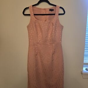 The Limited Blush Midi Dress